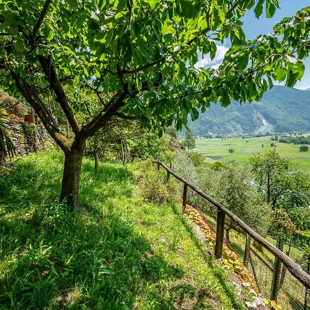Holiday home Rustico Ciabott Dascio